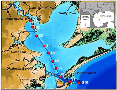 Hurricanes Accelerate Dissolved Organic Carbon Cycling in Coastal Ecosystems